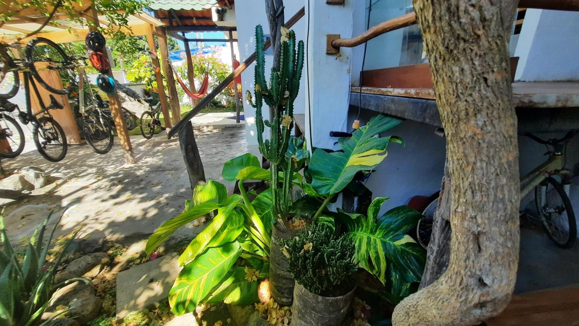 Apartamento Alma de cedrela Puerto Ayora  Exterior foto